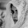 salam_503_