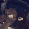 noof_alenizi_7575