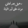 user30399249667608