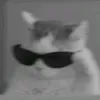 tuts_thu.n