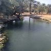 ahmed.al.shariabi