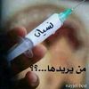 user7695281162488
