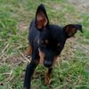 ofelia620
