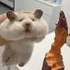 thuylinh_yy