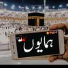 hafizg817