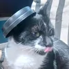 editslixo4