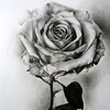 user442360463