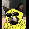 bernardmendoza0