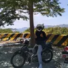 gia.bo7786
