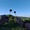 nostalgia1415