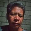 elmer.onquit
