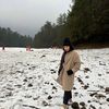 Minimal รีวิว