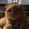 bmcat6