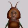 cory123455