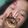 user2623537045955
