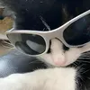 gzllejydls
