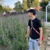 qb_241