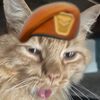 helloimbotwitch