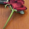 noor_140037