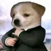 conmemay_nqu