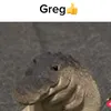 greg23457