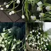 kimngocc_19