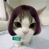 user464000883