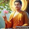 darshana089
