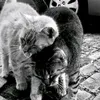 d_ute3