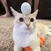 clydeomu1tc