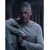 scofild_editor5