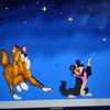 dogs_349