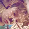 huy.doan.gia