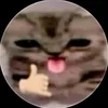 _.ng0cmjhh00z._