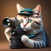 Sheru Cat