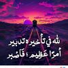 user4583719513030