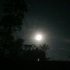 freyapin_
