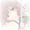luvlihachi