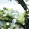 霖雨蒼生