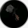 malak.soliman33