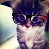 meowowoe3