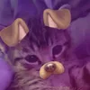 nanaisbanana0