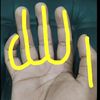 anser.aarbi