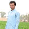 shahbazlashari415