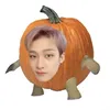 fandestraykids321