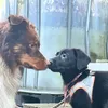 nero_and_us