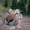 hejwgiw