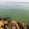 safamahjoub23