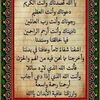 taghreedghazy0