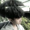 kiquol